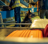 Sprāgstvielas - smaržu Getxent tūbiņas