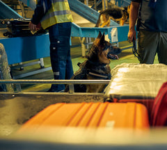 Sprāgstvielas - smaržu Getxent tūbiņas