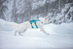 Ramble long krūšu siksna