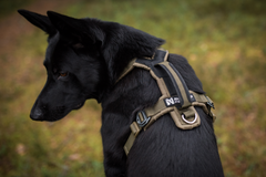 Line defense grip krūšu siksna