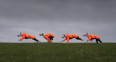 Fjord overall lietus jaka