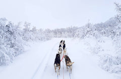 Nansen stick krūšu siksna