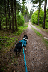 Trail quest soma sunim