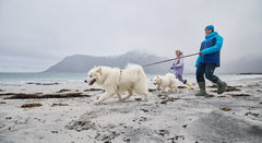 Trail quest pavada Rachel Pohl sērija