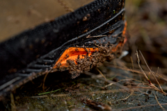 Saxnäs GTX orange zābaki