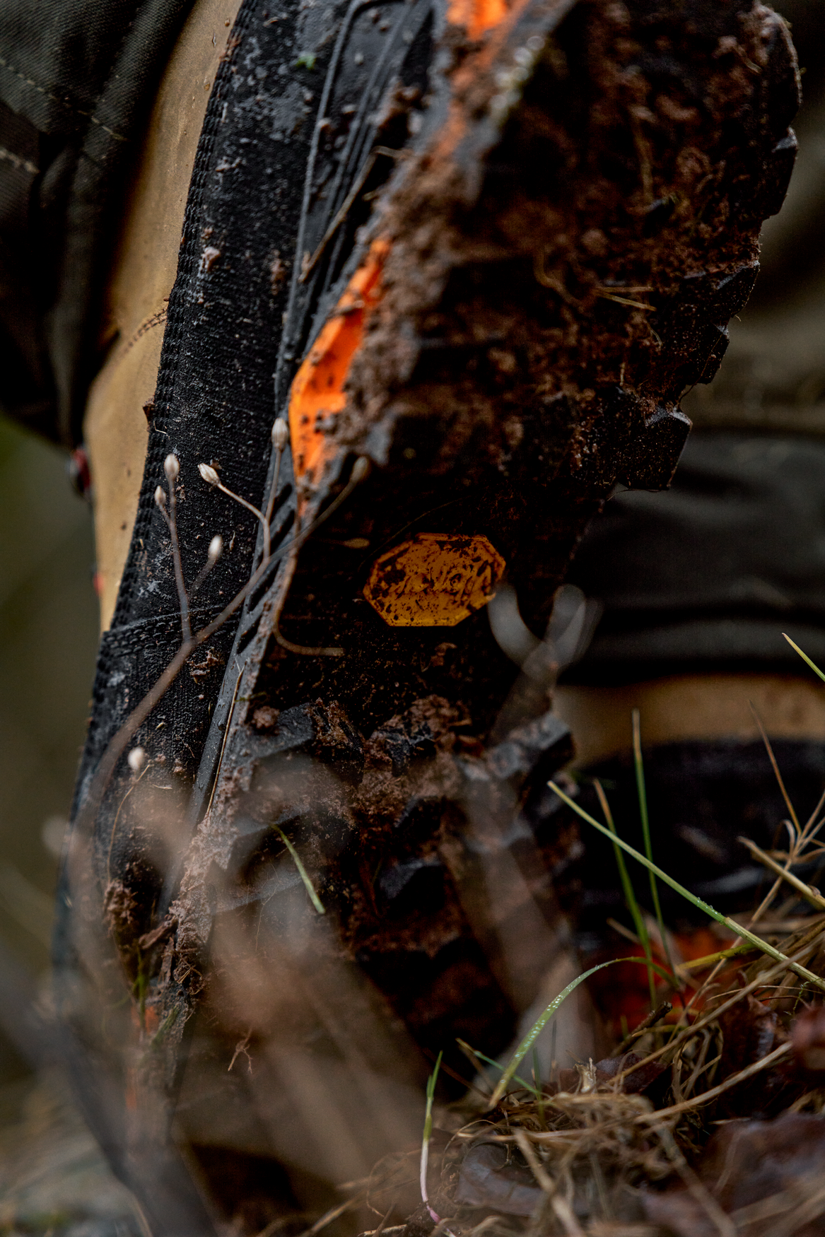 Saxnäs GTX orange zābaki