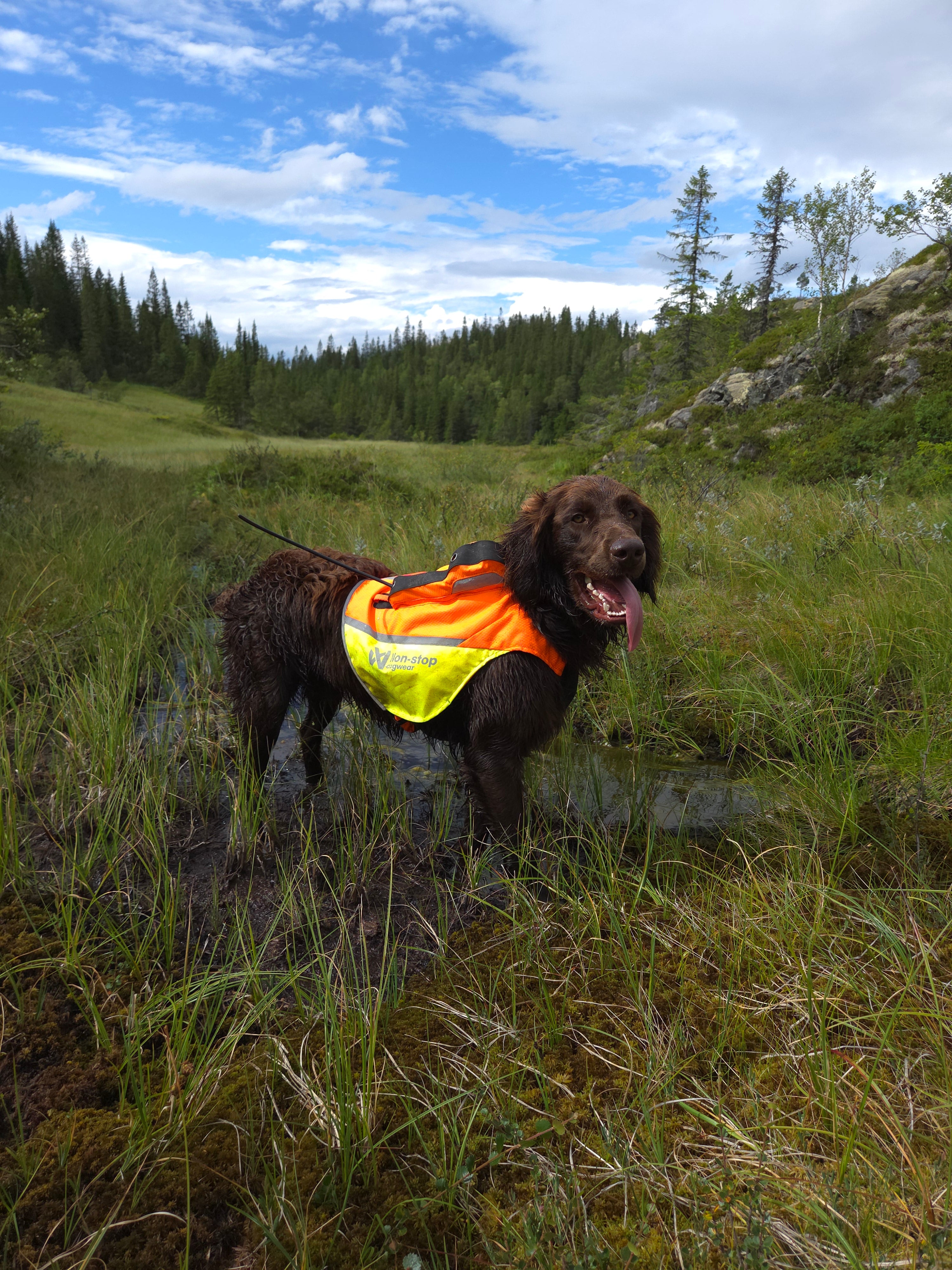 Protector GPS 2.0 veste