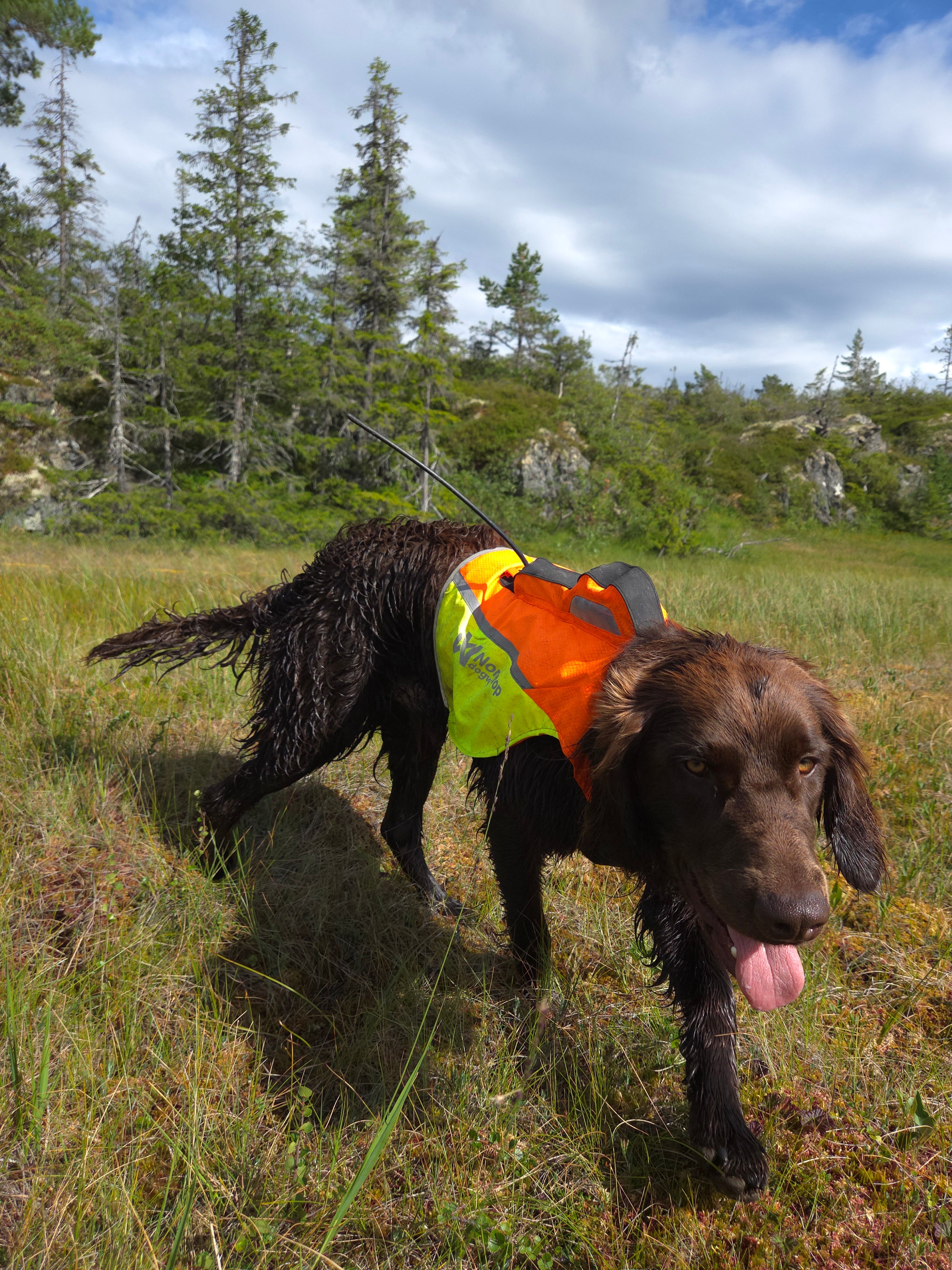 Protector GPS 2.0 veste
