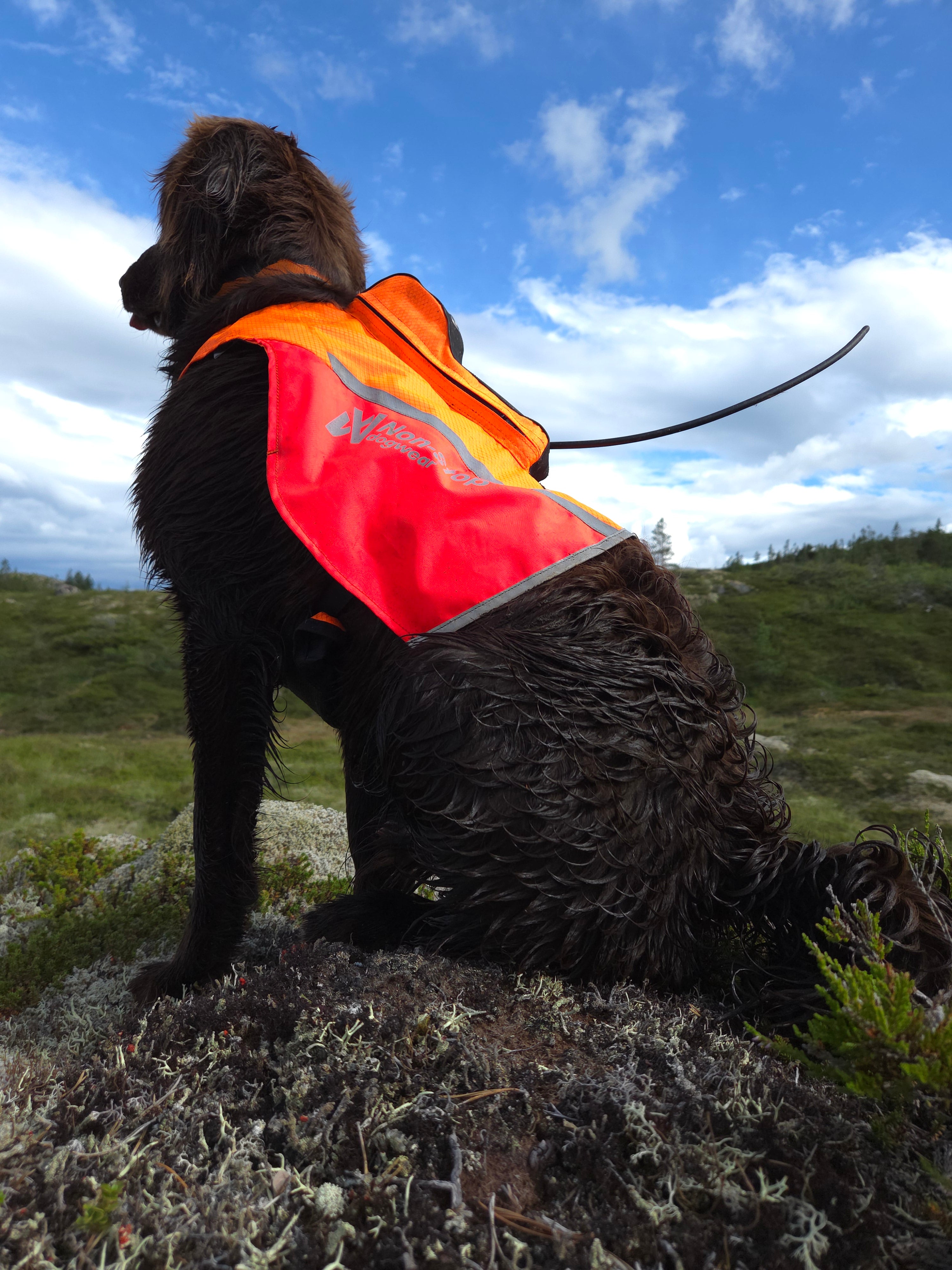 Protector GPS 2.0 veste