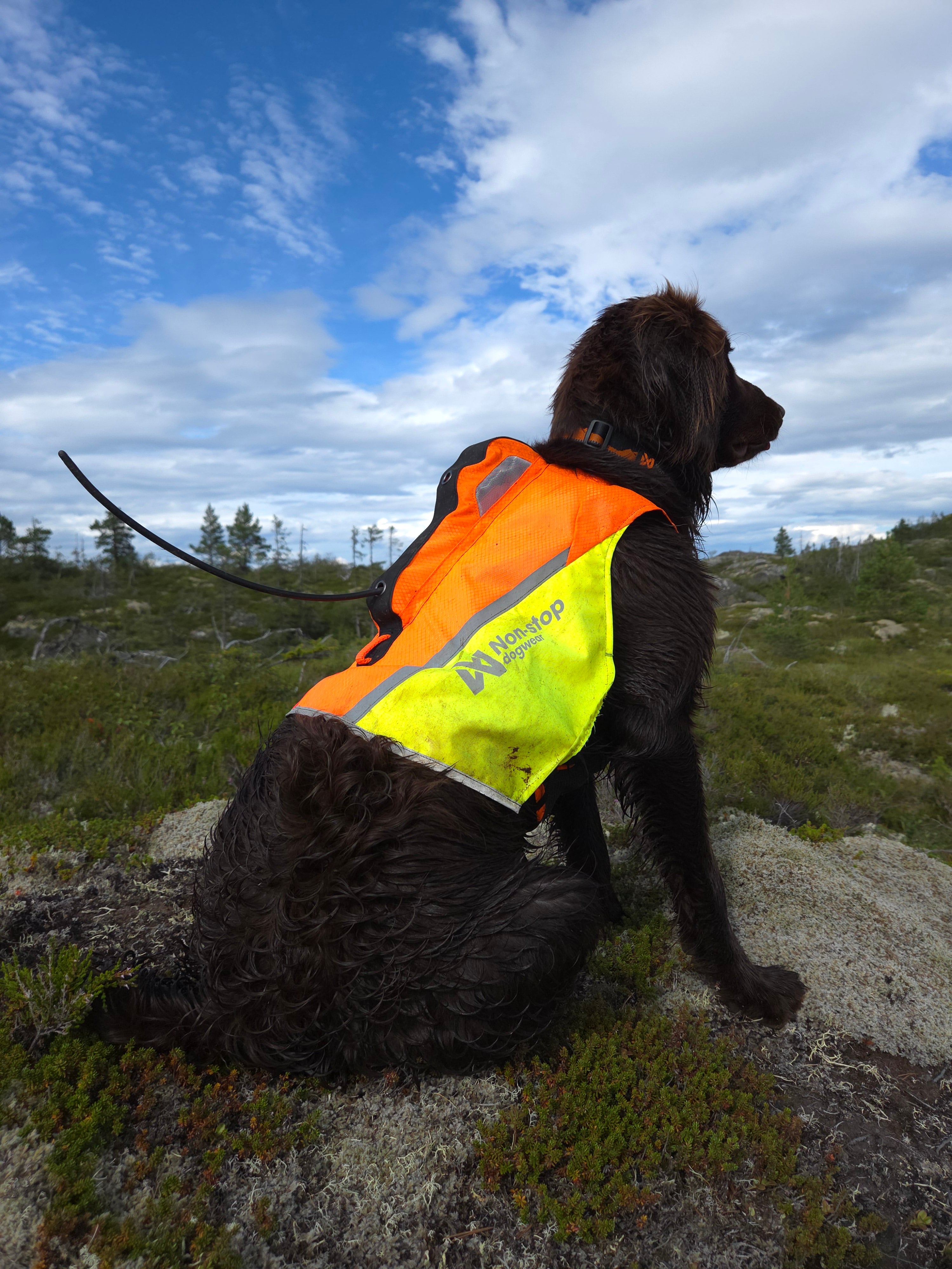 Protector GPS 2.0 veste