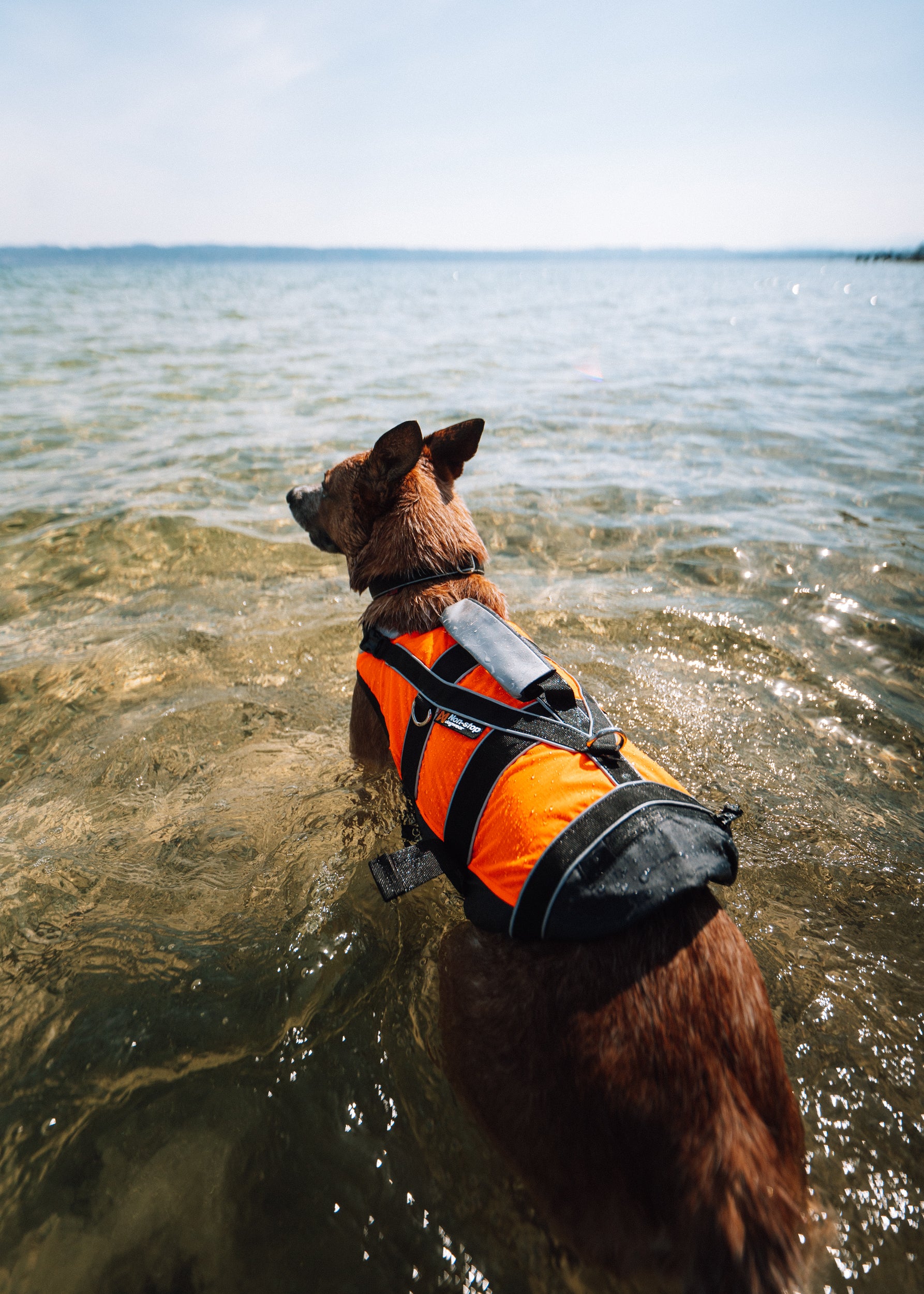 Safe glābšanas veste 2.0