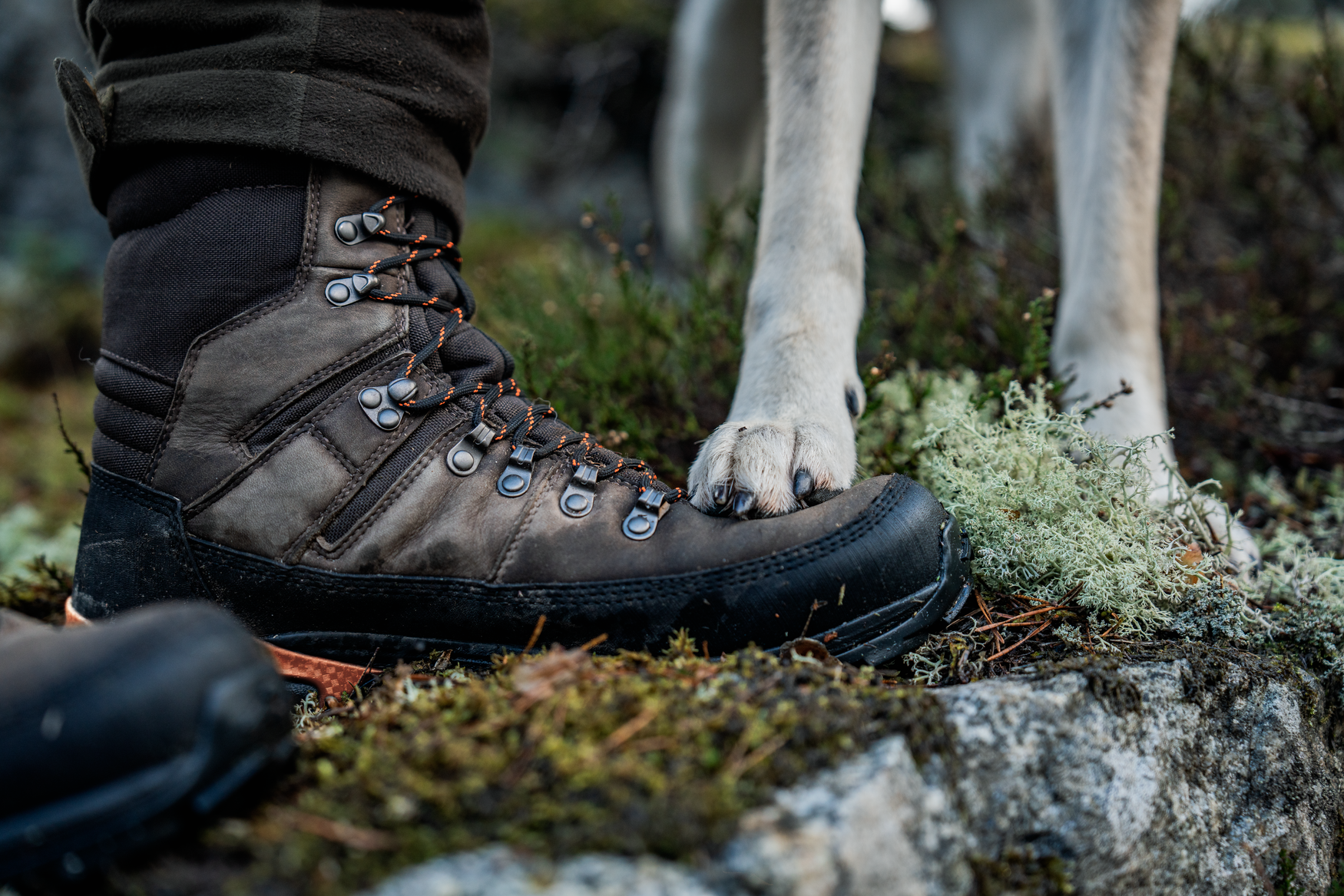 Enduro Tracker High zābaki