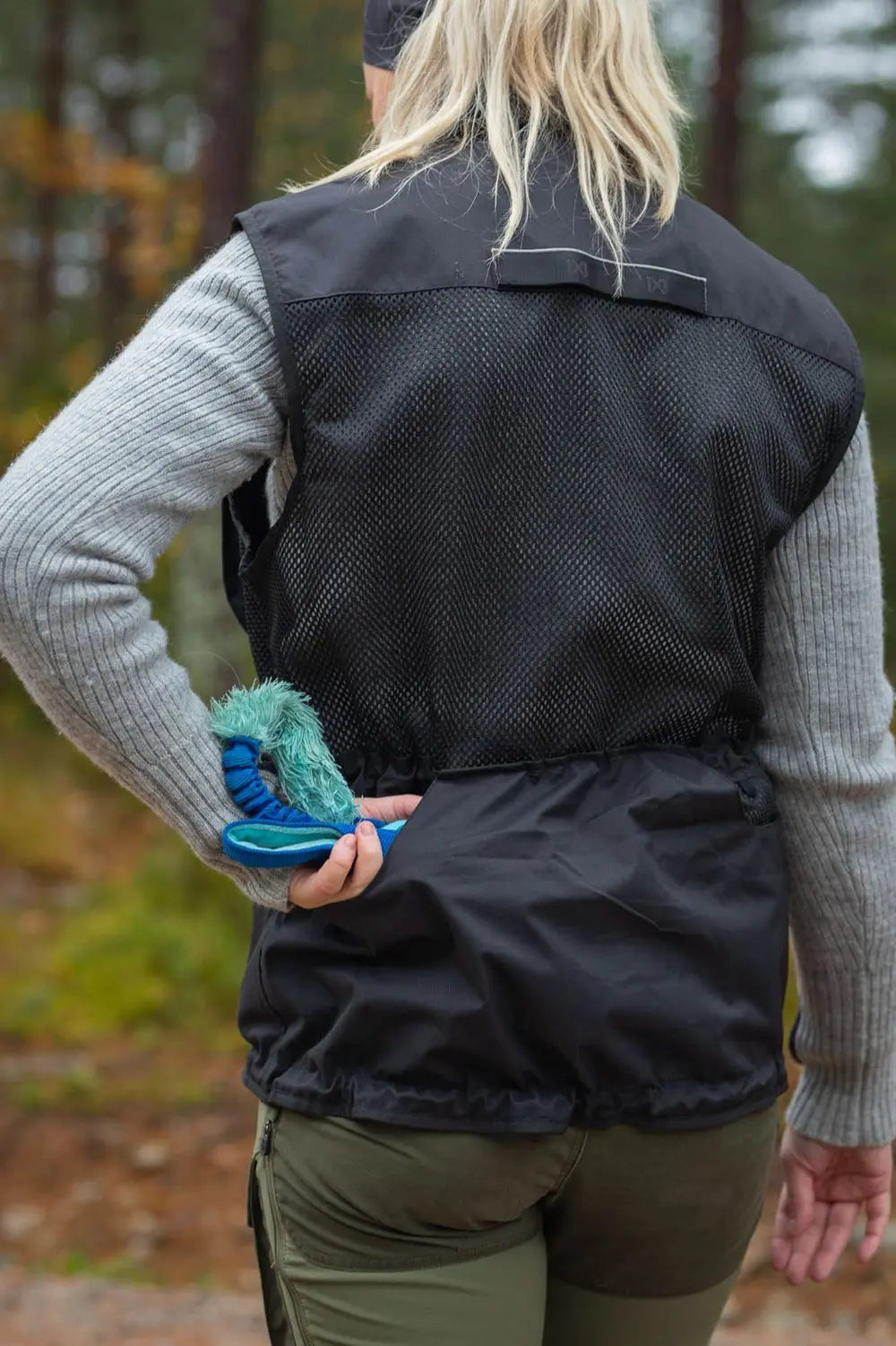 Treniņu veste