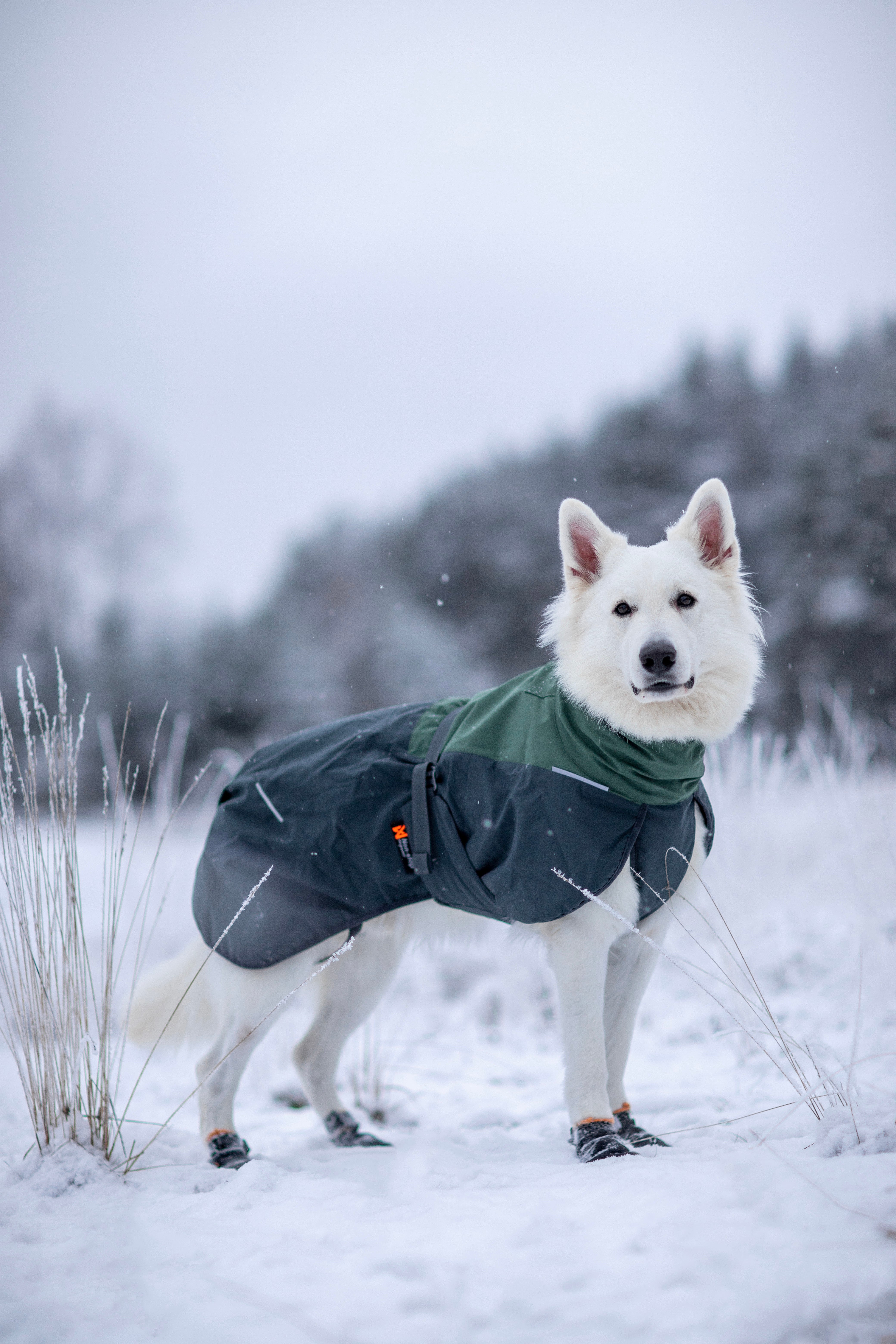 Glacier wool 2.0 jaka