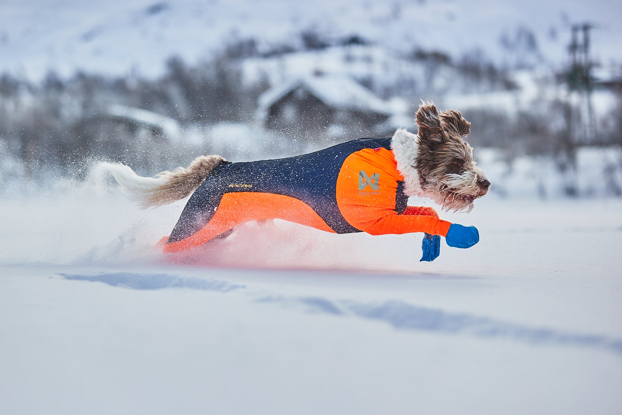 Protector snow (meitenēm)