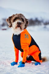 Protector snow (meitenēm)