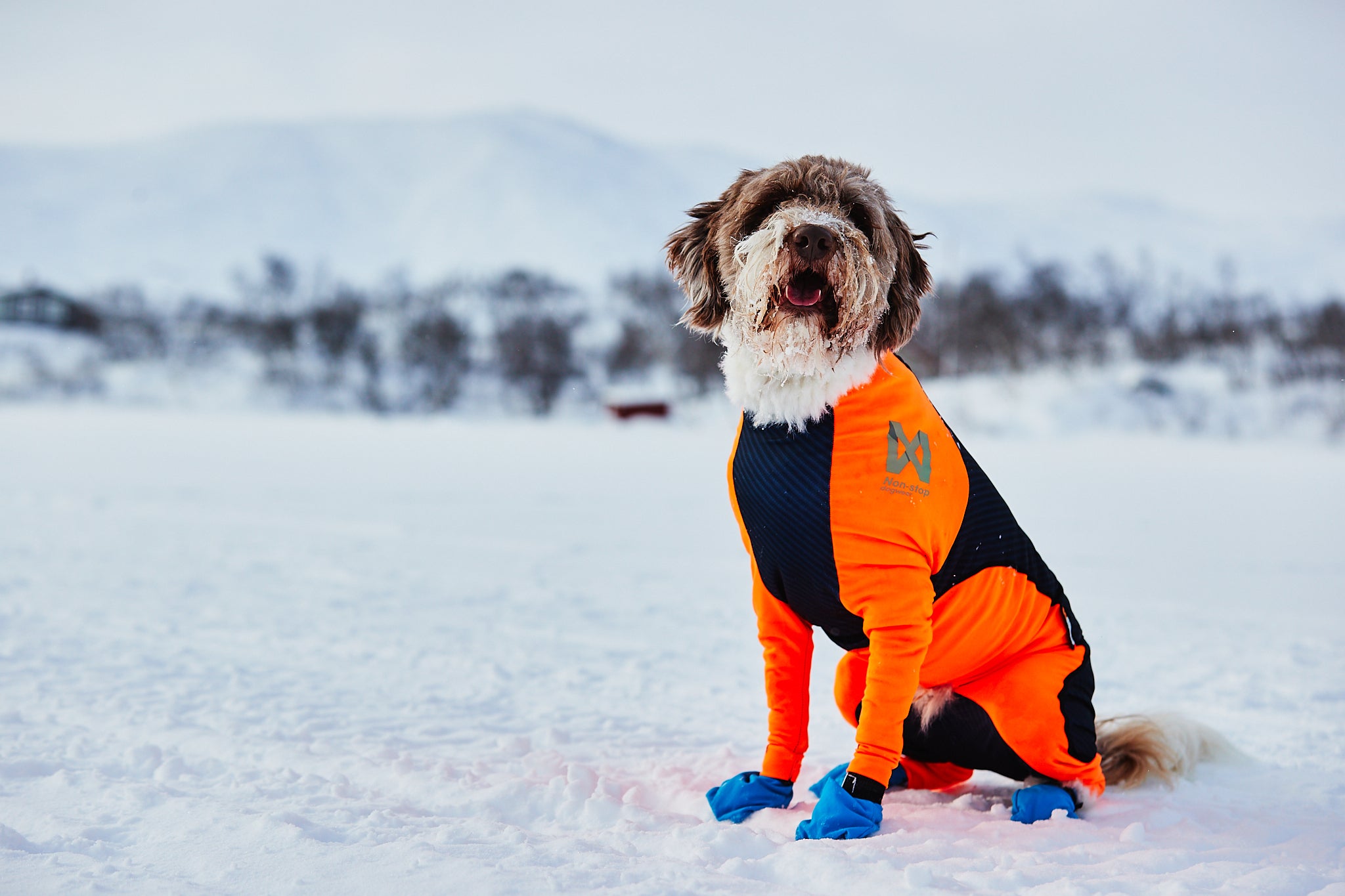 Protector snow (meitenēm)