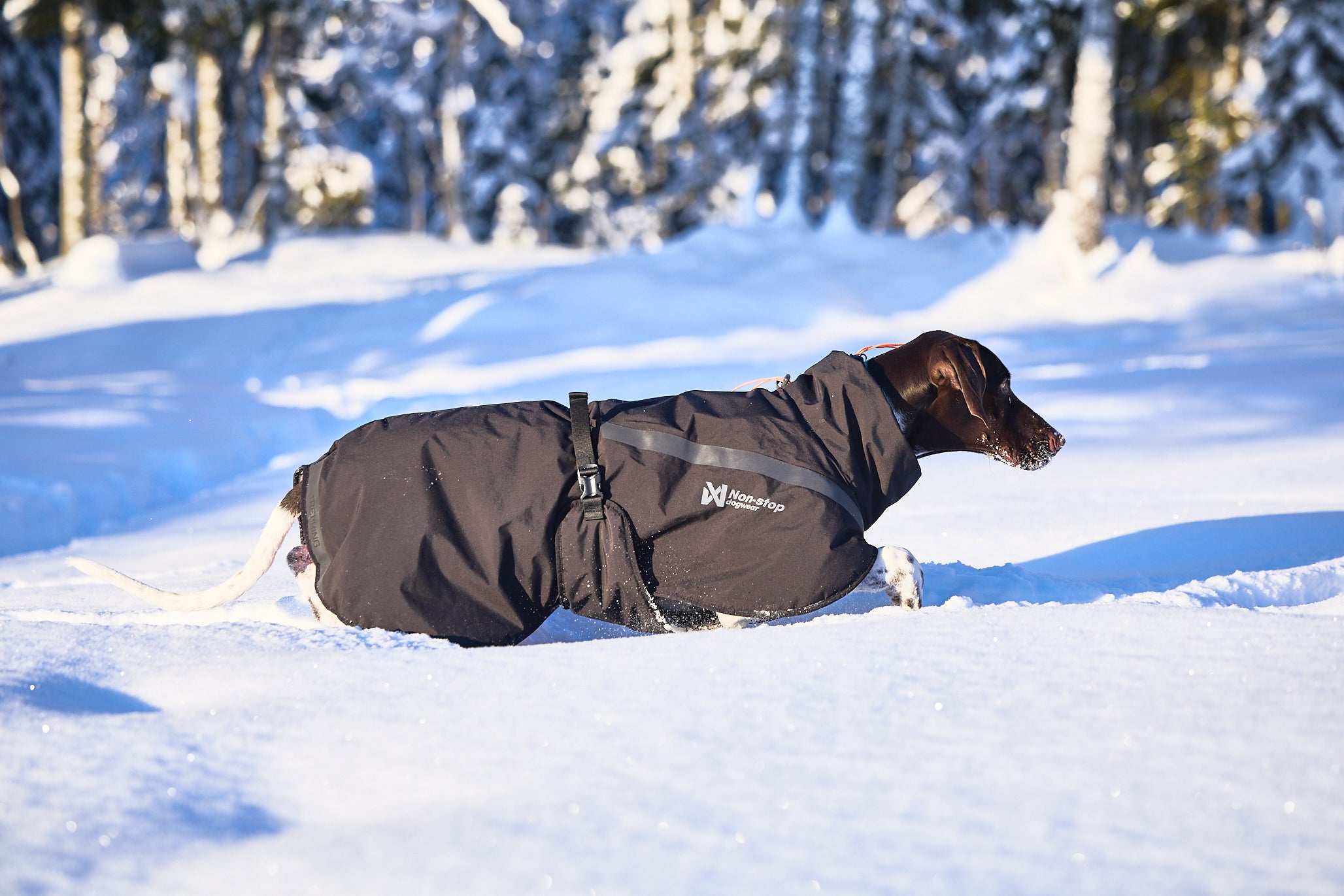 Trekking insulated jaka