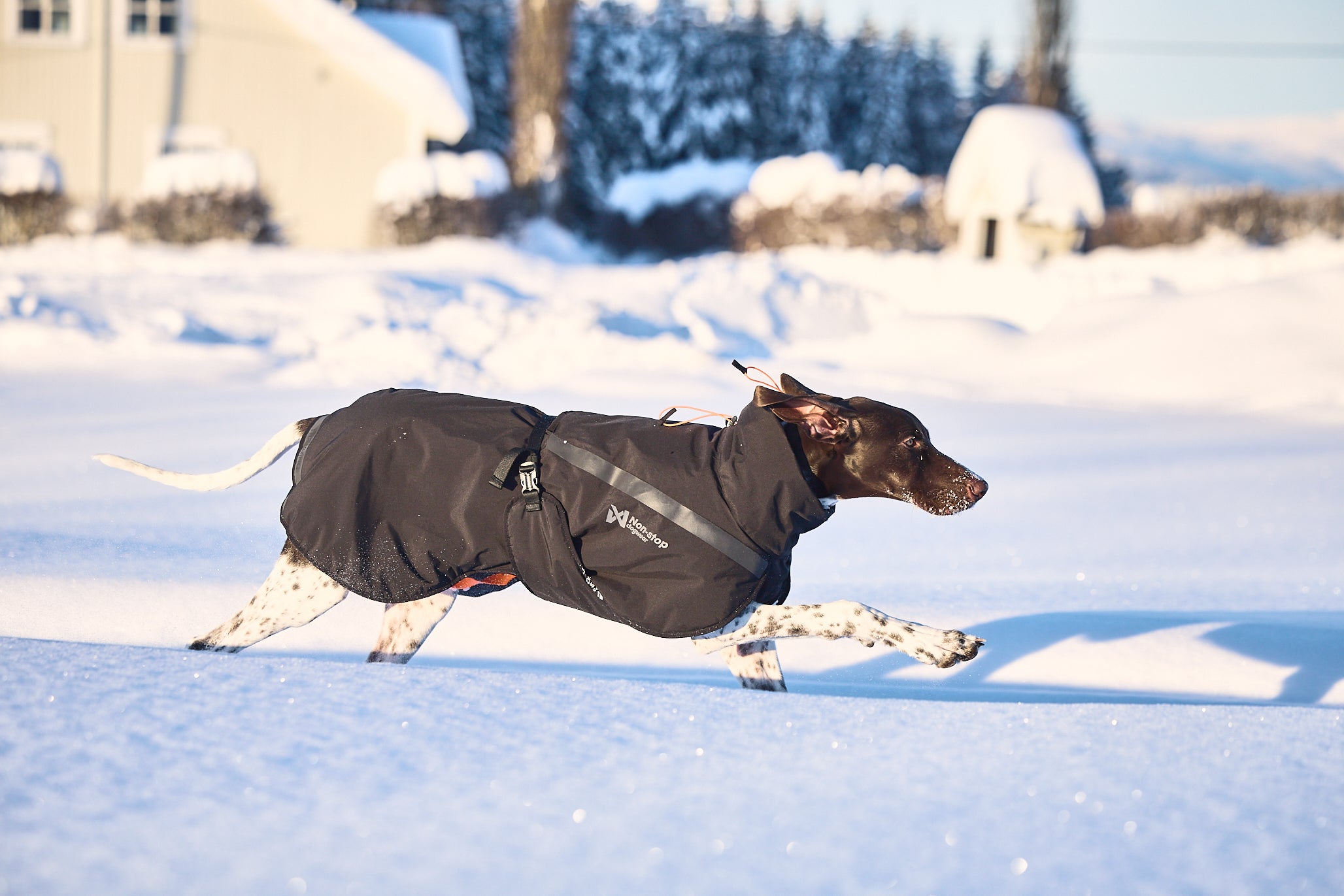 Trekking insulated jaka