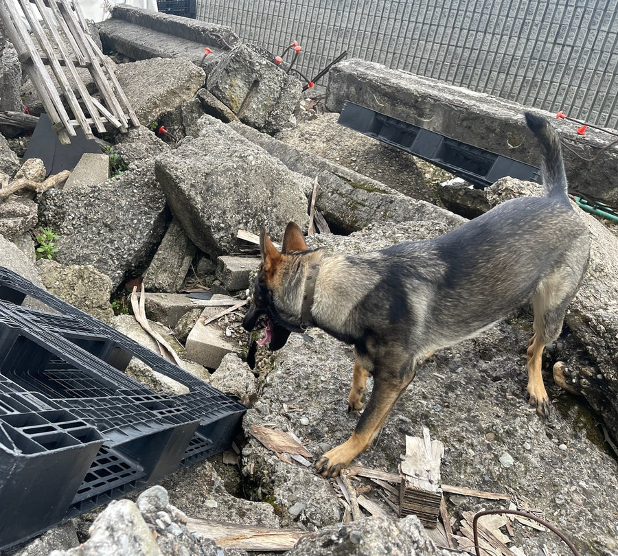 Cilvēka mirstīgās atliekas - Getxent smaržu tūbiņas