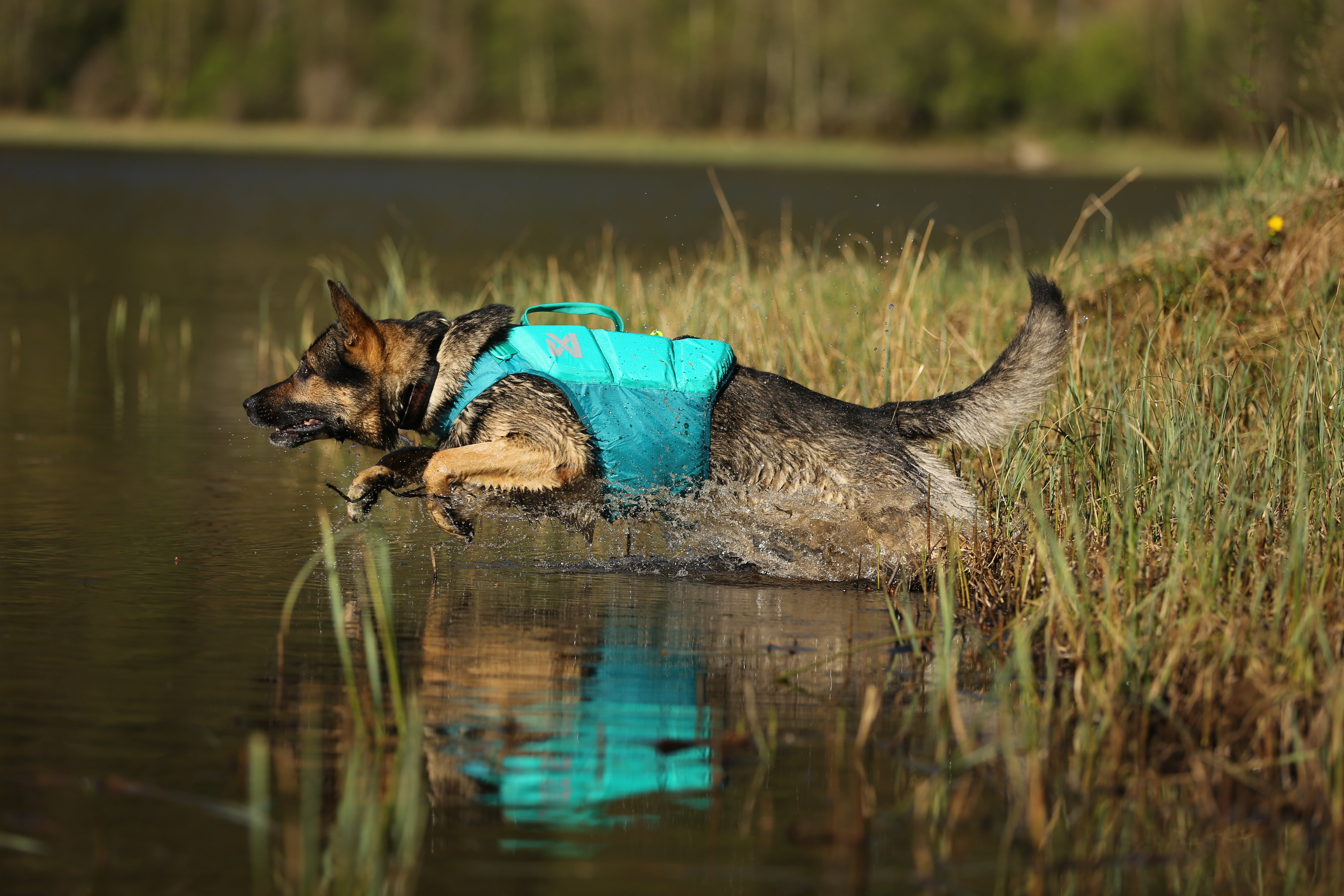 Protector glābšanas veste