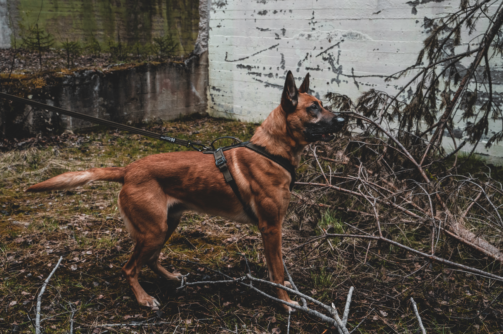 Line defense grip krūšu siksna