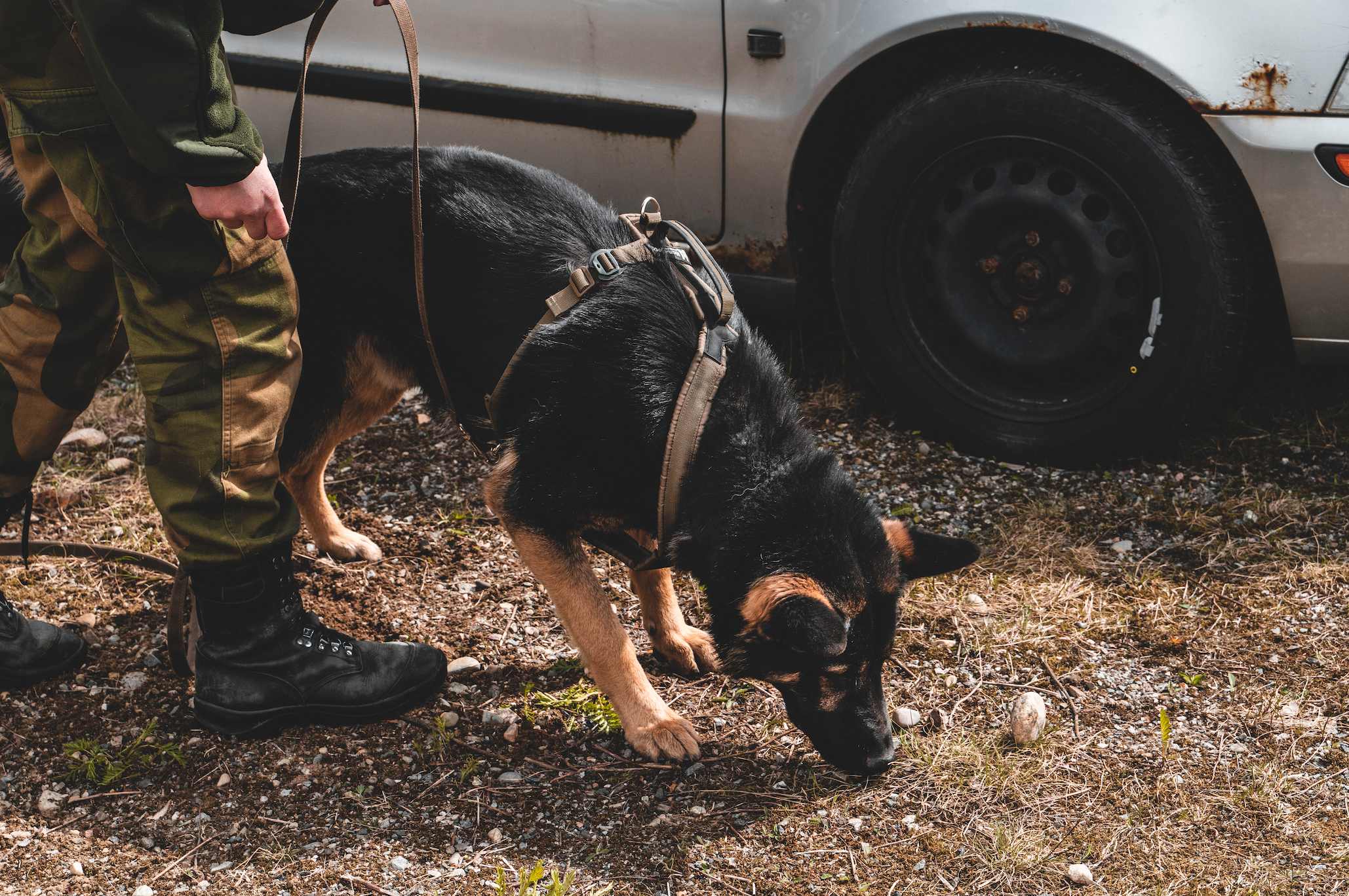 Line defense grip krūšu siksna