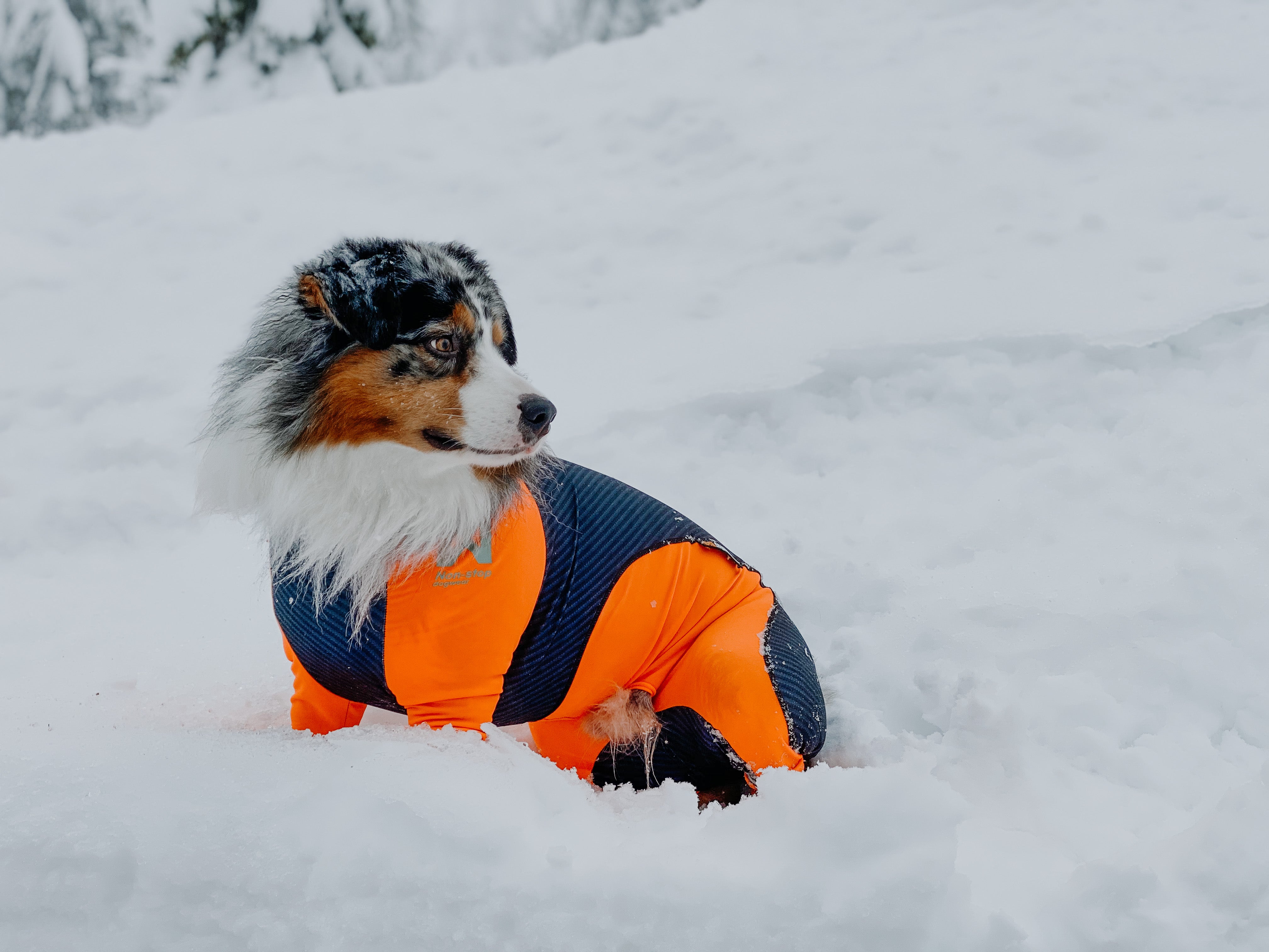 Protector snow (meitenēm)