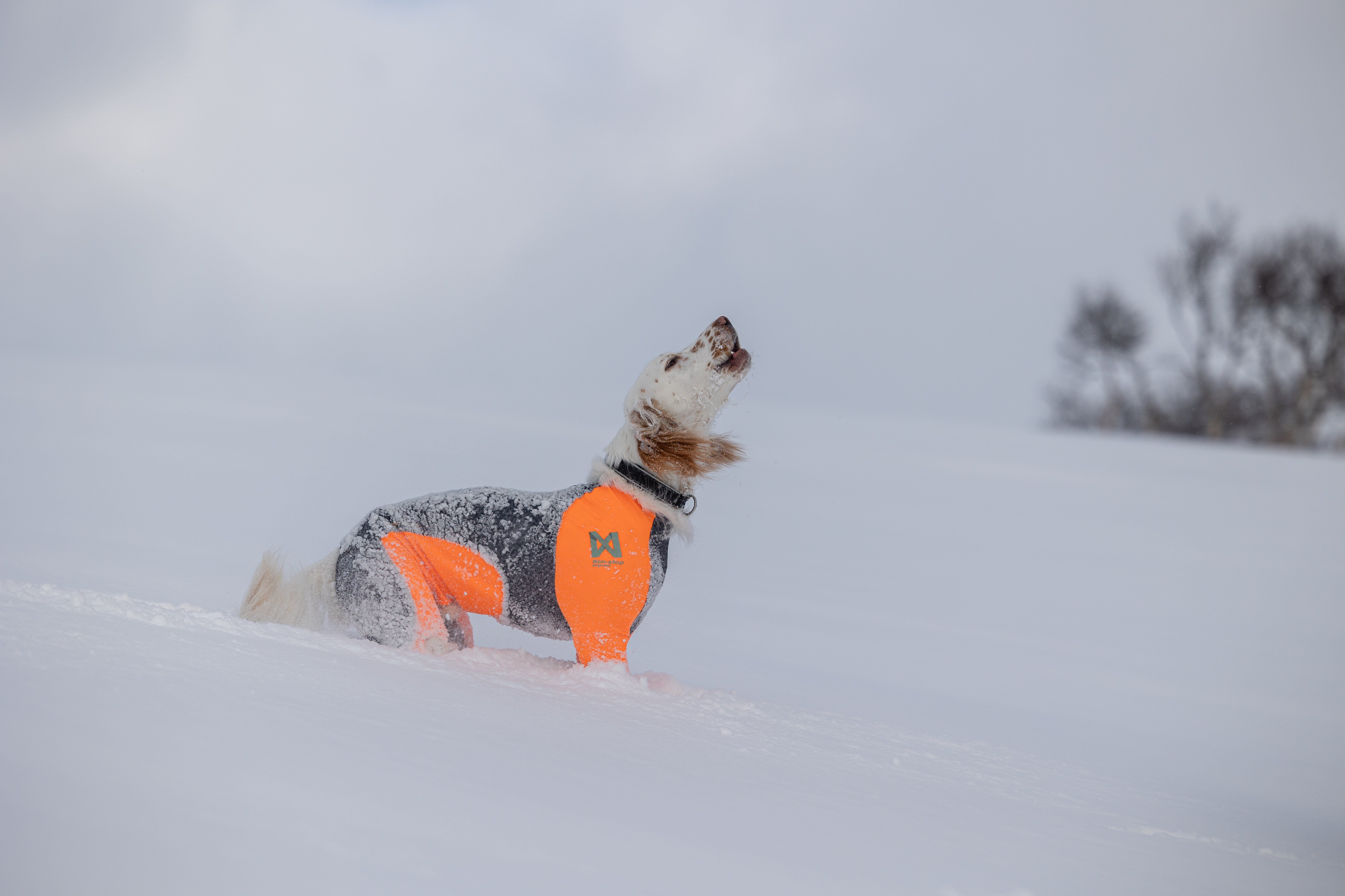 Protector snow (meitenēm)
