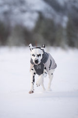 Glacier 3.0 vilnas jaka