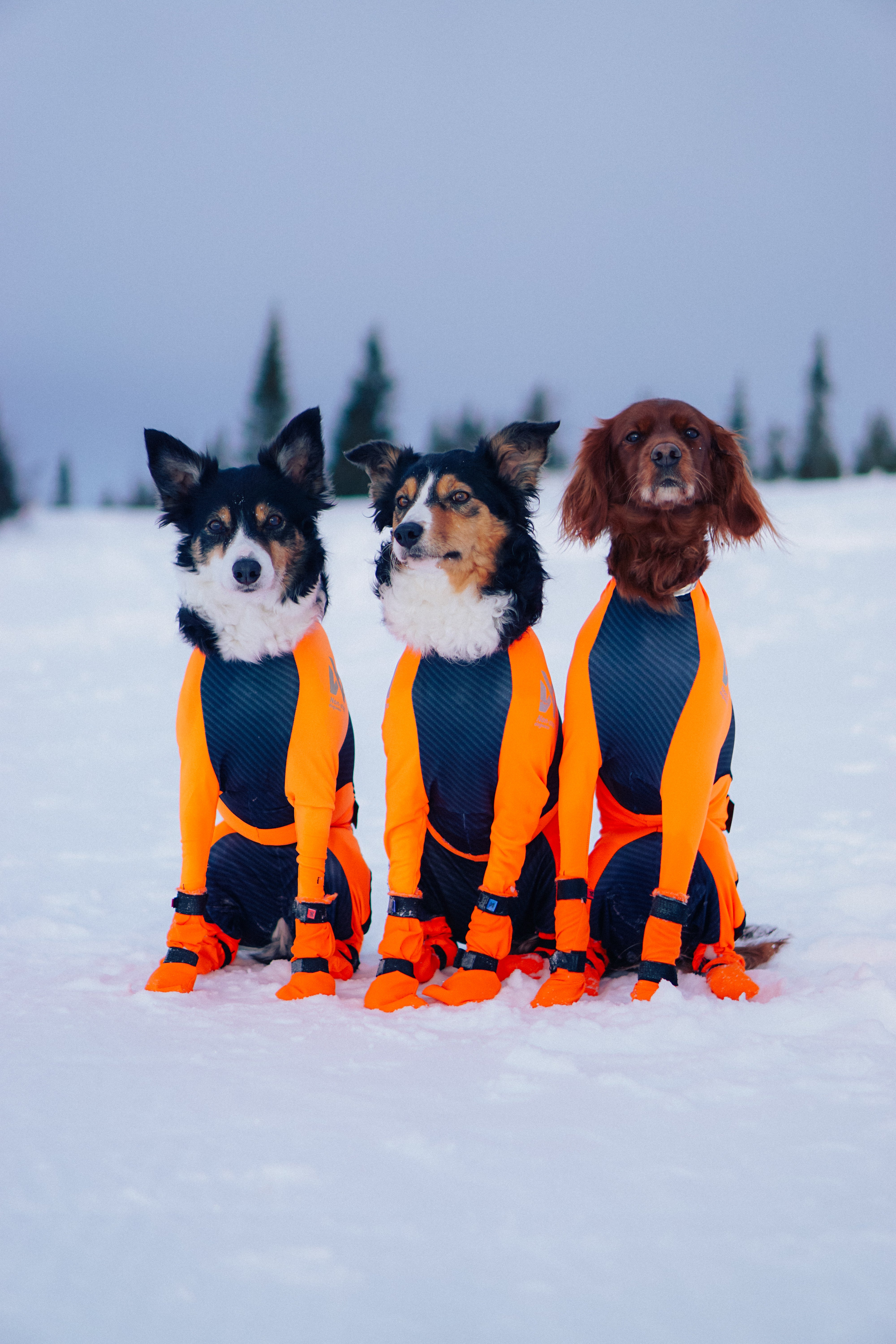 Protector snow (meitenēm)
