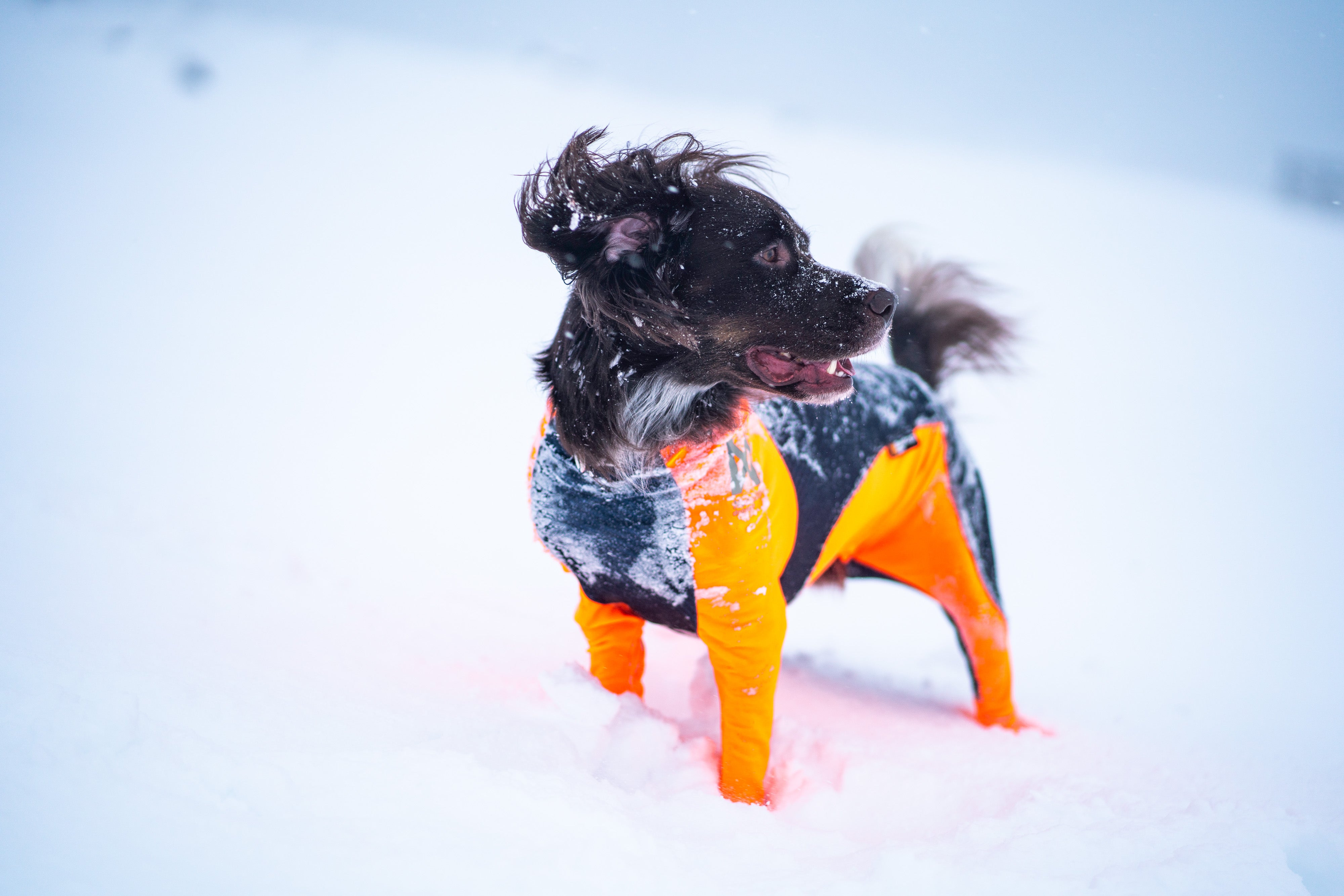 Protector snow (meitenēm)