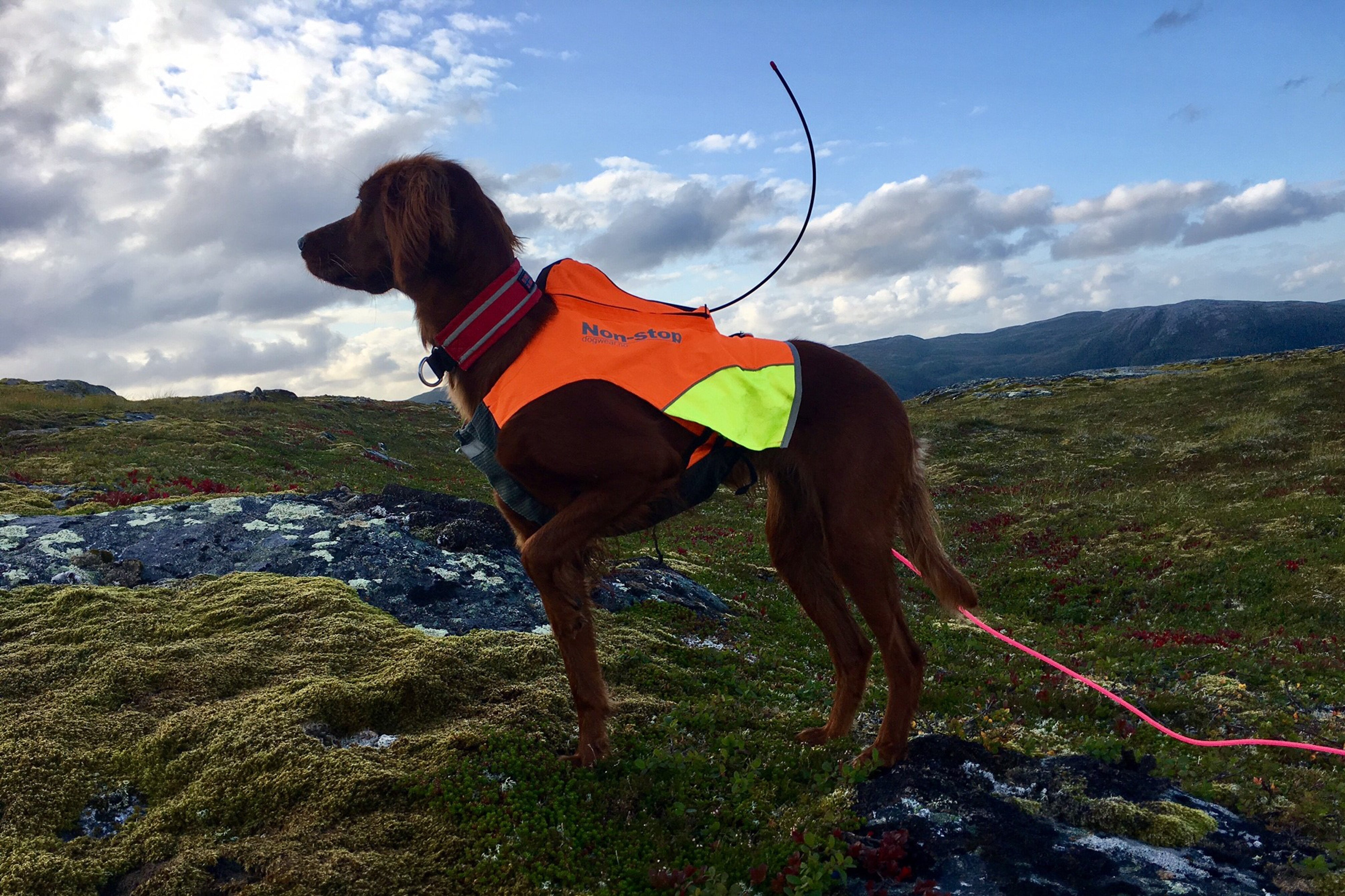 Protector GPS veste