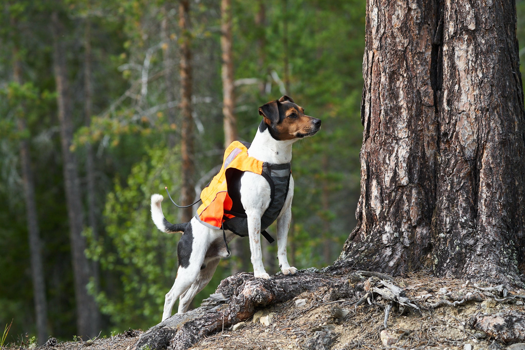 Protector GPS veste