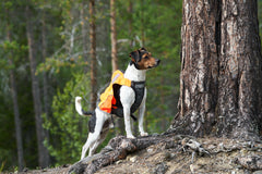 Protector GPS veste