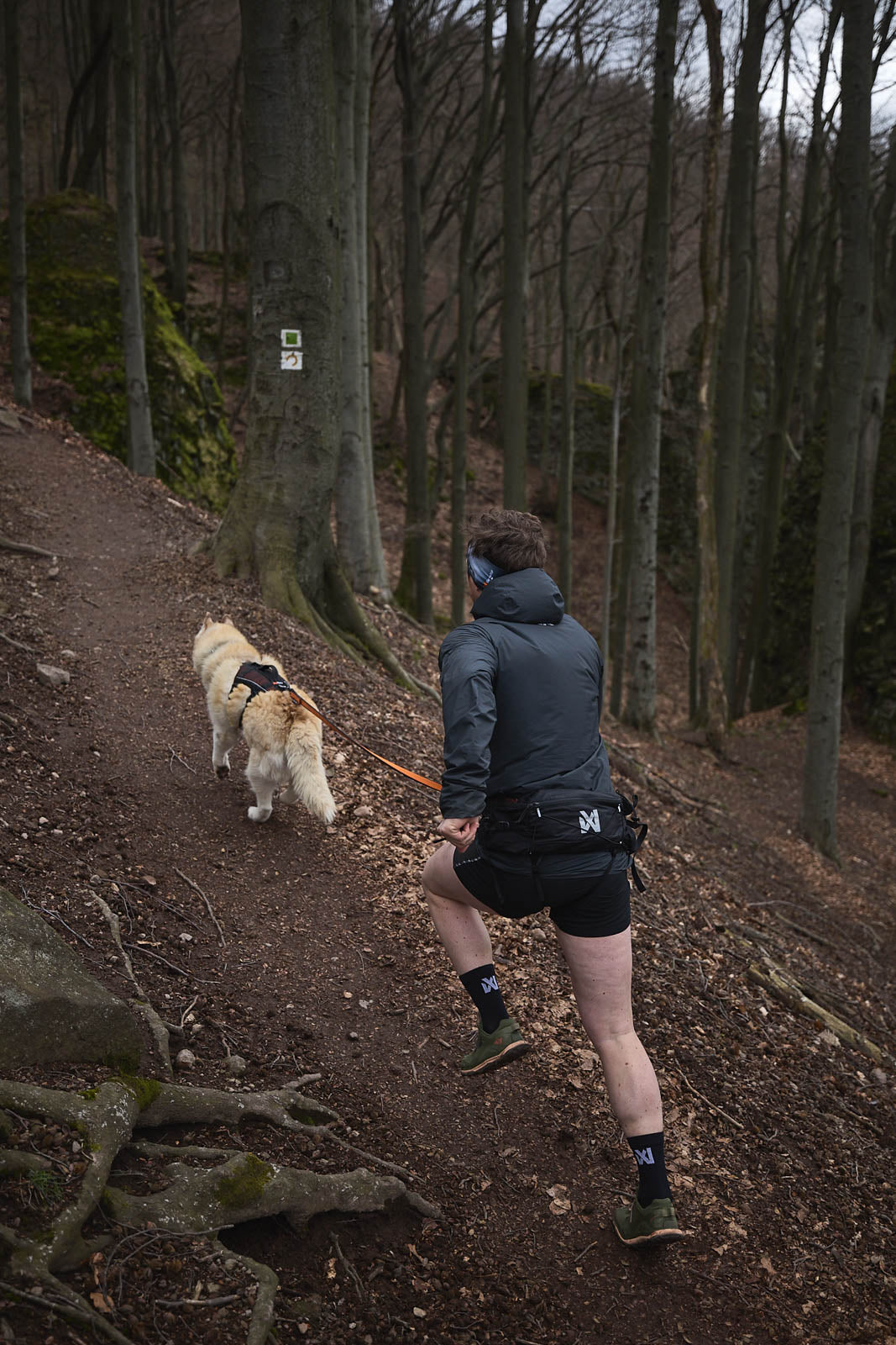 Trail light josta