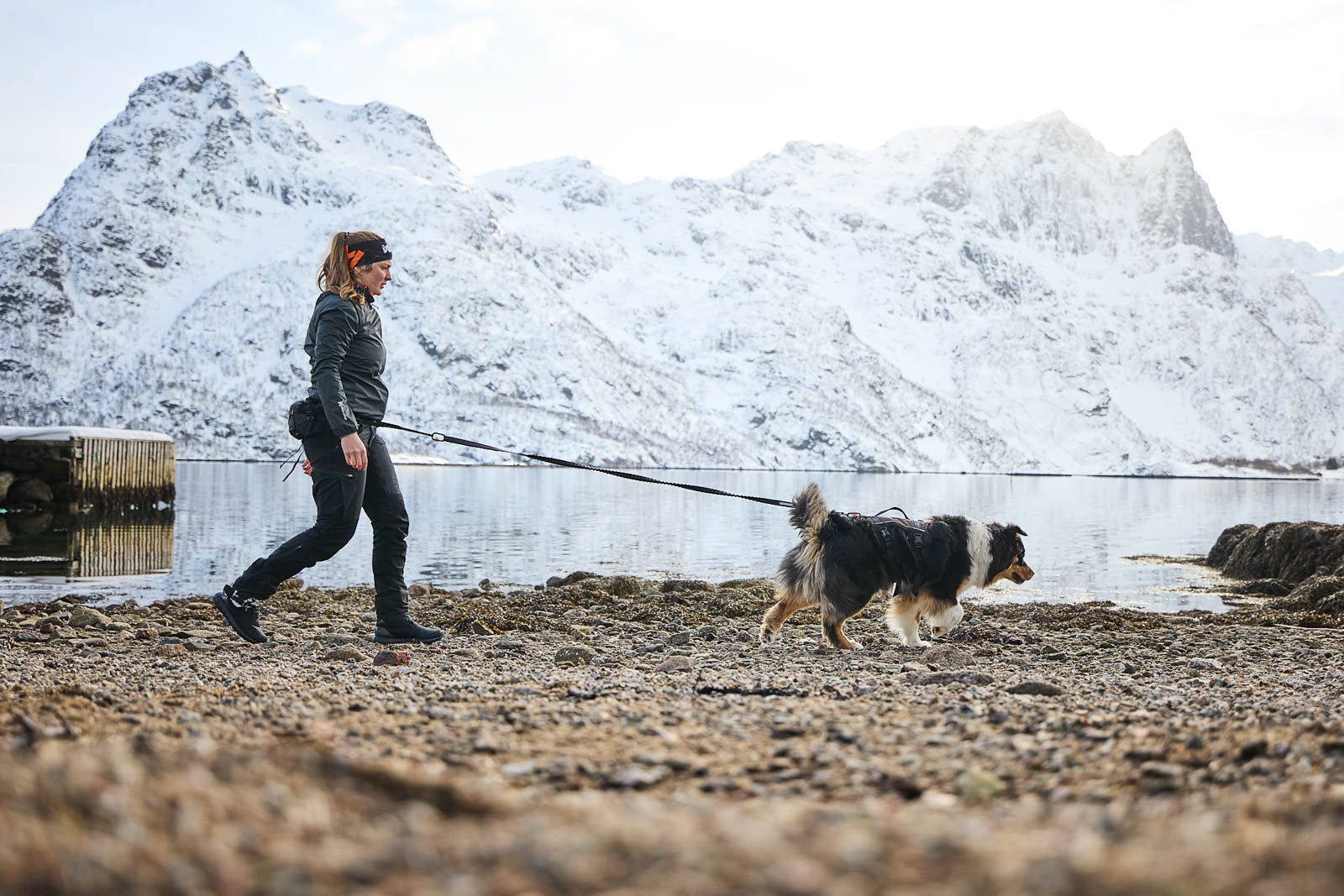 Trail light josta