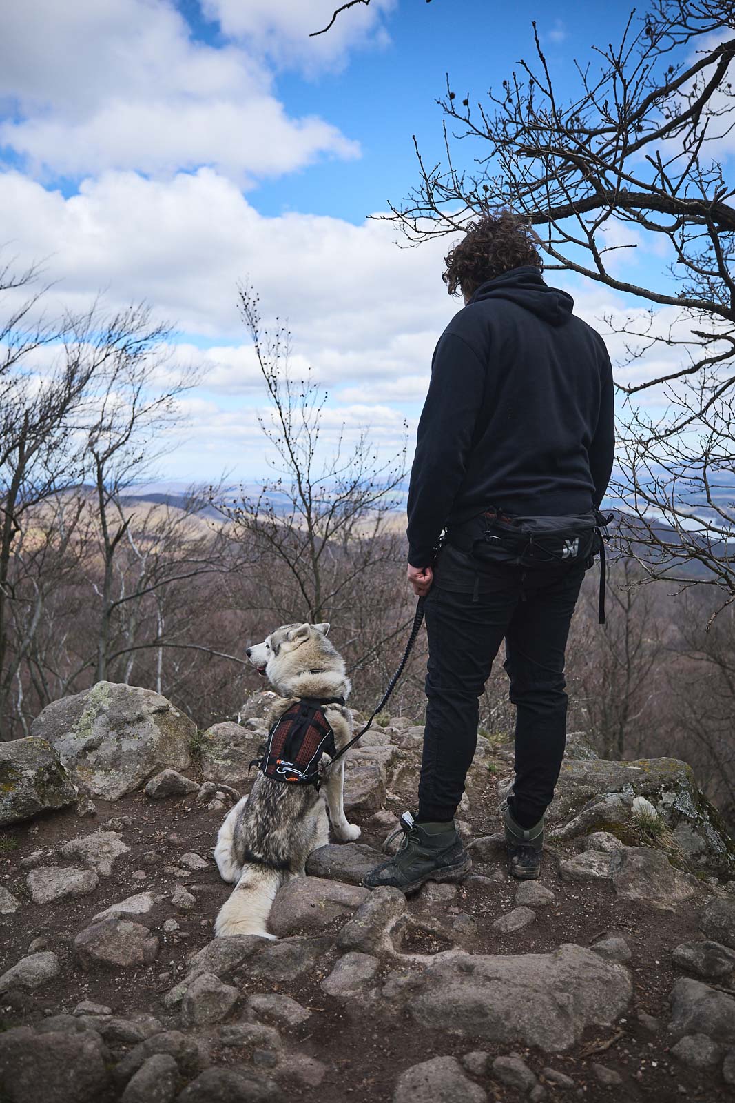 Trail light josta