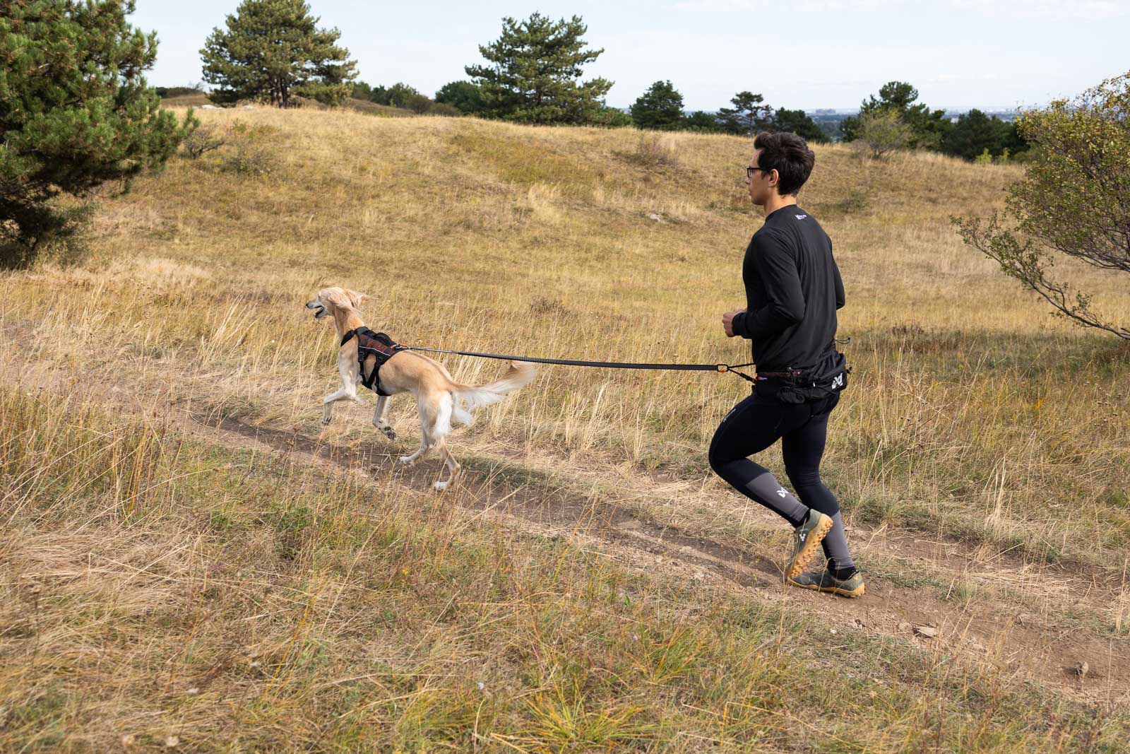 Trail light josta