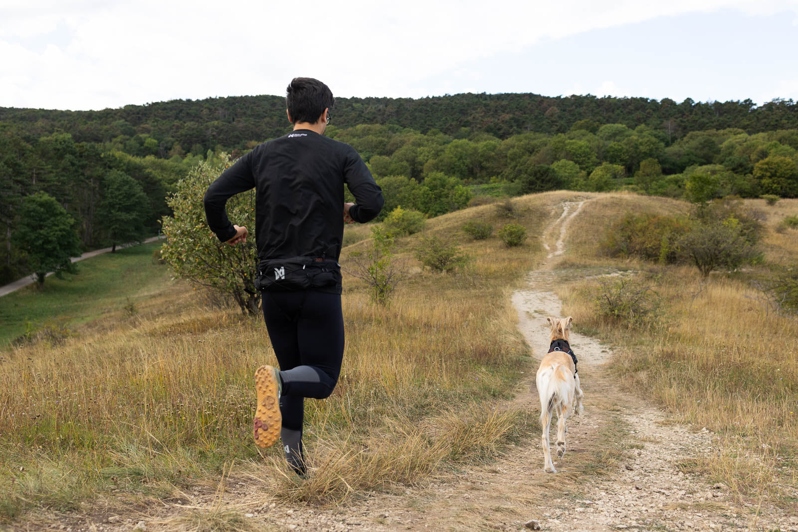 Trail light josta