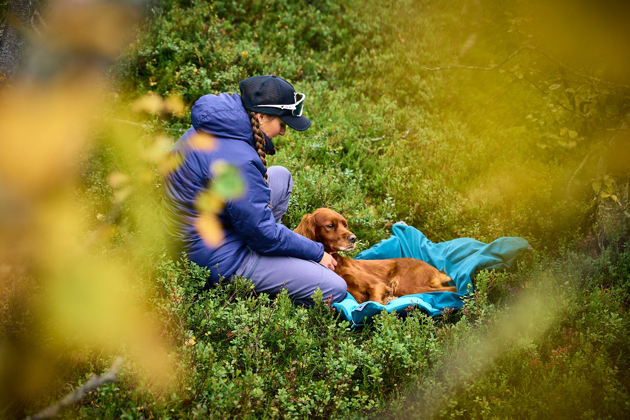 Trekking suņu gulta