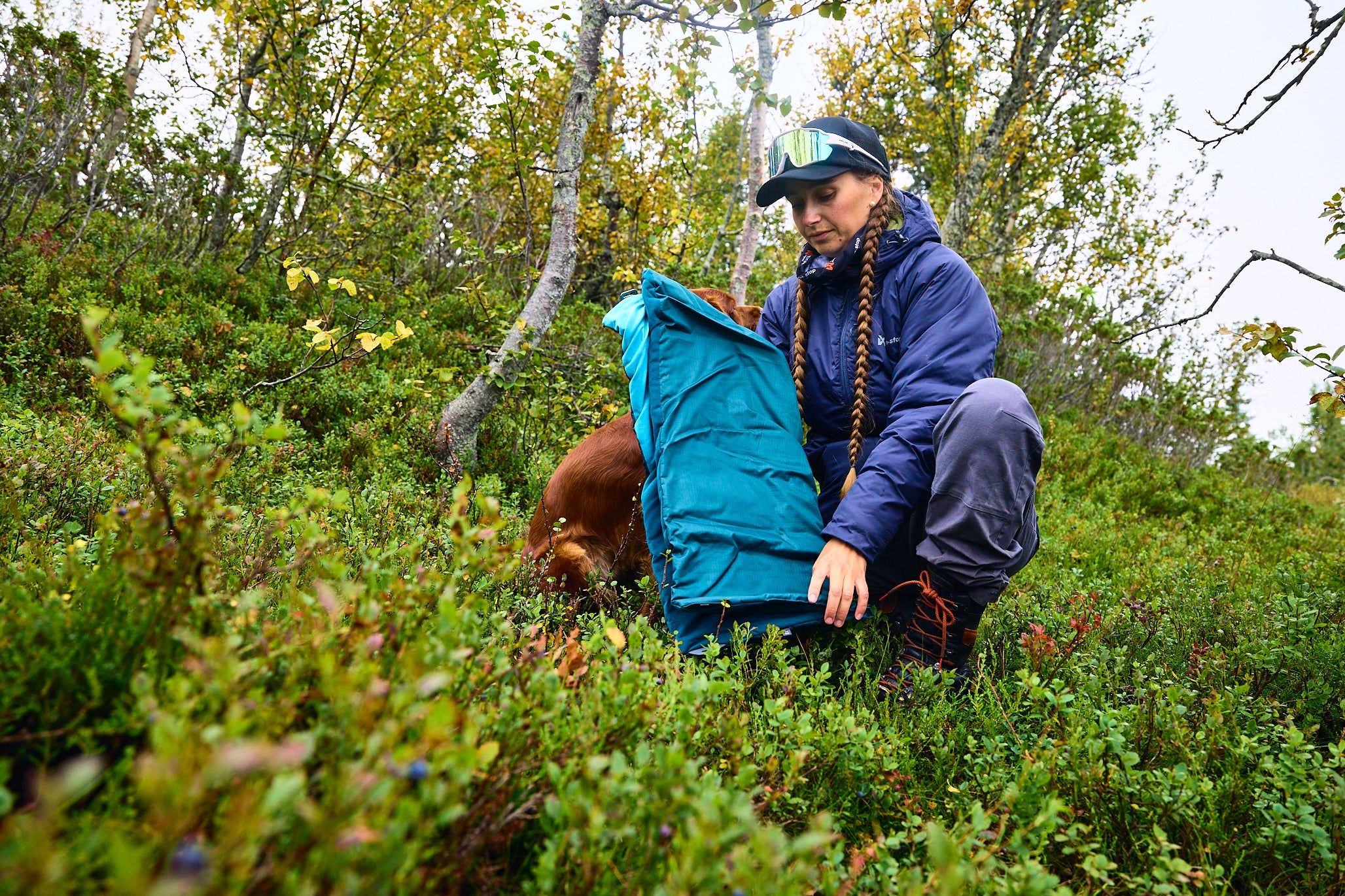 Trekking suņu gulta