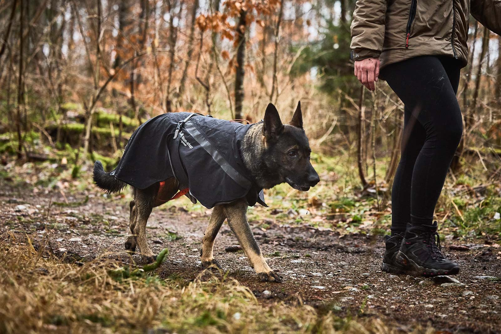 Trekking lietus jaka