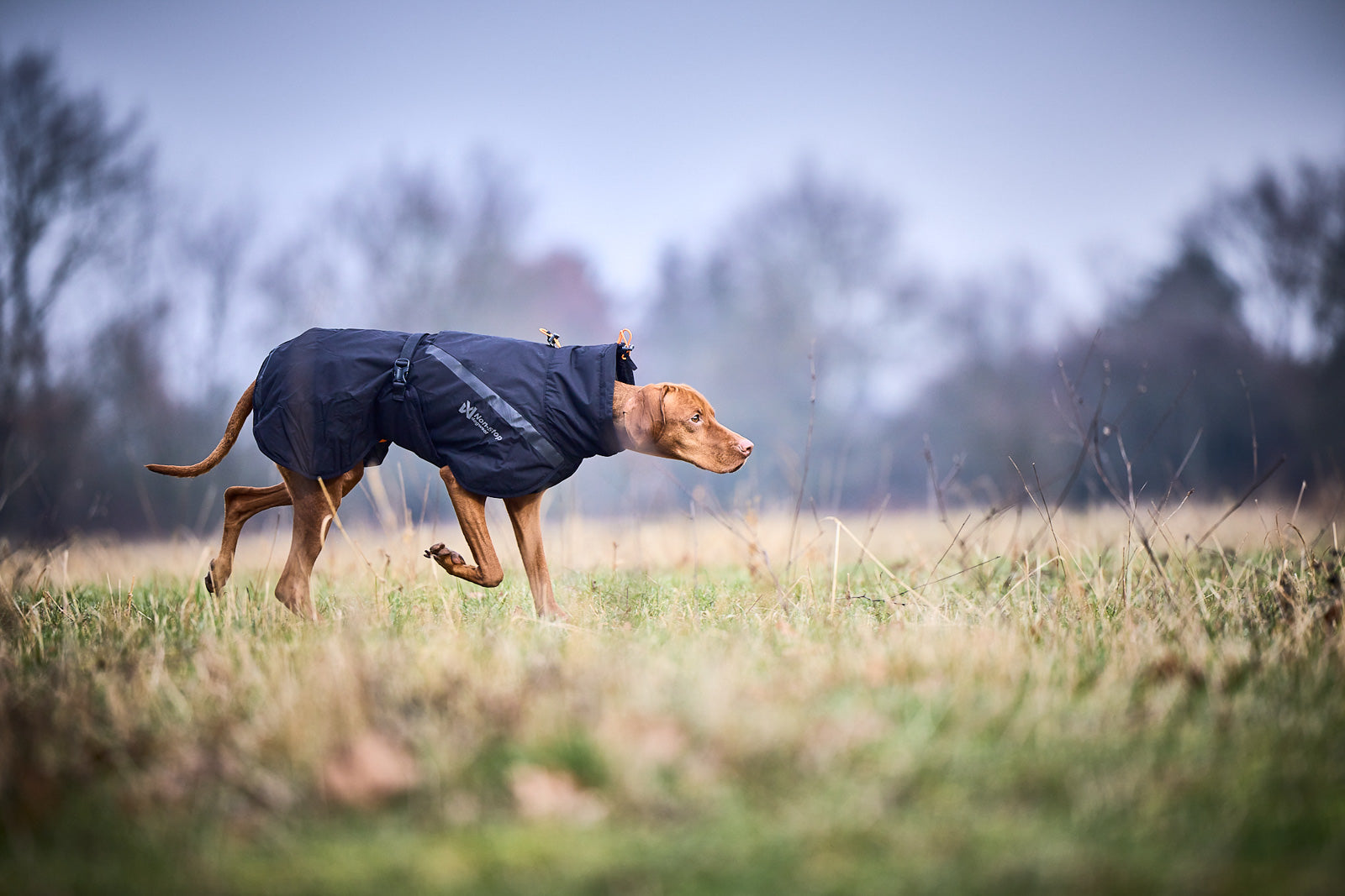 Trekking insulated jaka